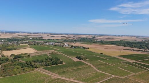 Altus